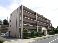 Grand wood（グランウッド）の画像