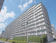 木場ハイツの画像