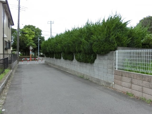 習志野市香澄３丁目　売地　約６９．６坪　建築条件なし　分割可の前面道路含む現地写真|南側の遊歩道