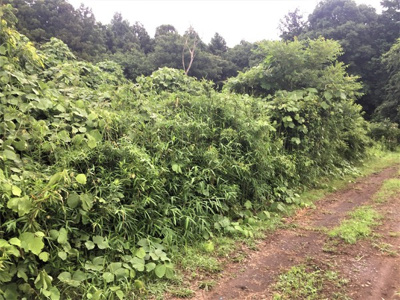 【外観】 | つくば市大舟戸 | 現地