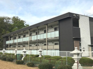 ミランダルーチェⅢの画像