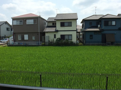 【展望】 | アンプルール　リーブル　ｐａｓｅｏ