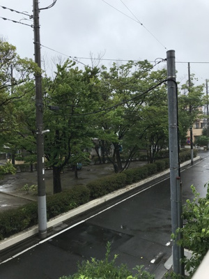 【展望】 | グッドフラット３ | 目の前は大きな公園です！