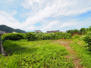 【建築条件なし】大仙市大曲西根字鳥居 土地物件85.15坪(281.49㎡) 資材置き場などにの画像