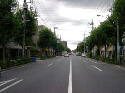 【周辺】 | シティハウス永福町 | 前面道路