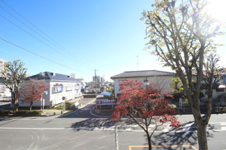 【展望】 | セントル長島
