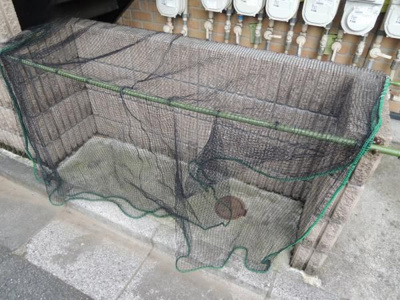 【その他共用部分】 | ライフピアサンシャイン