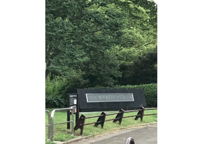 【周辺】 | Heritage八雲