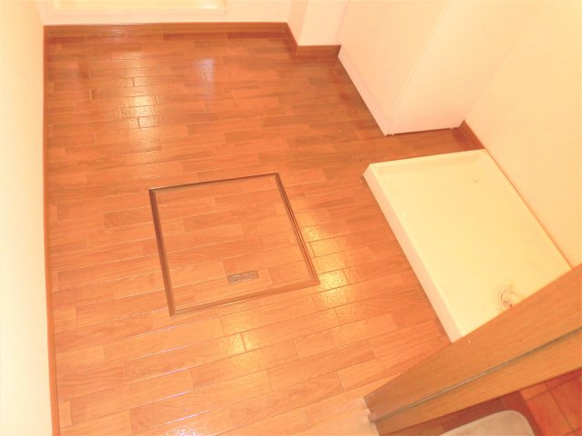 セジュール直江Bの洗面所