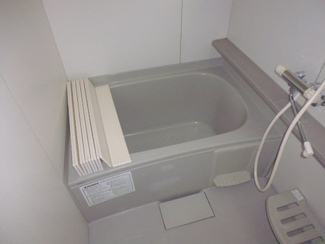 ヴィアーレ中畝Ａの浴室