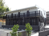 フリージアの画像