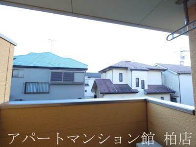 【展望】 | フェアリー・ローズⅢ