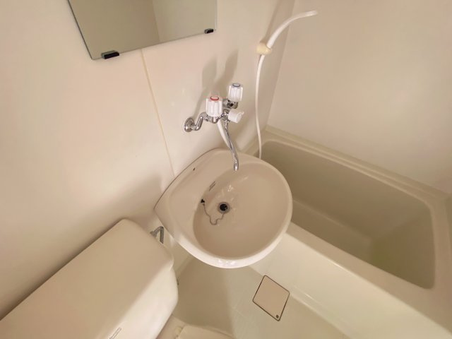 アメージングエステートの洗面所
