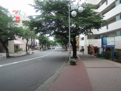 【周辺】 | 美しが丘ルピナス | 前面道路