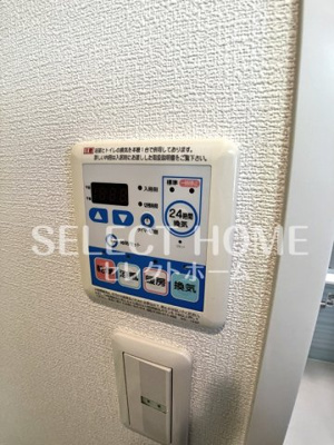  | ピネータ