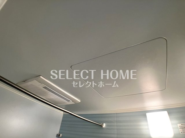  | ピネータ
