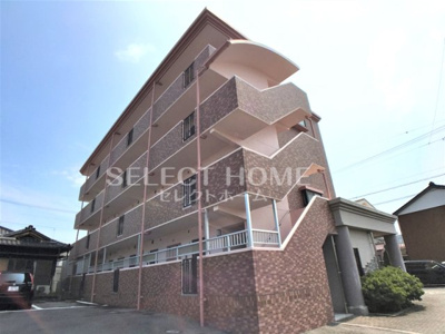  | ラナ・パラッツォ