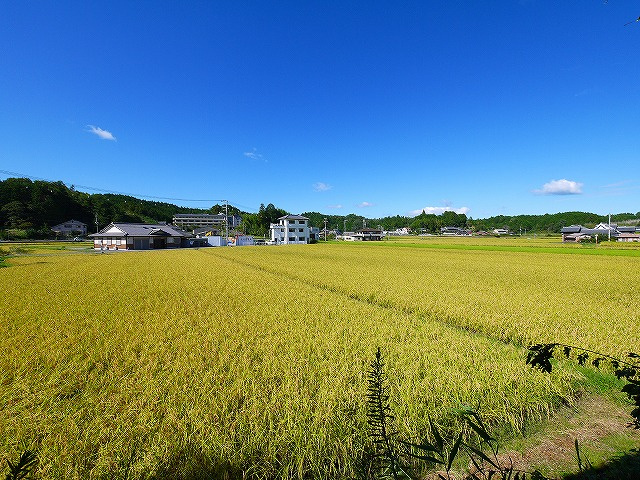 都祁友田町　純和風一戸建ての展望|離れからの景色