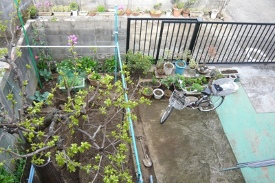 【周辺】 | 平安荘