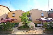 シルキーの画像