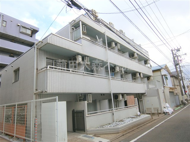 スカイコート大森第2の外観|外観　鉄筋コンクリートのしっかりしたマンション