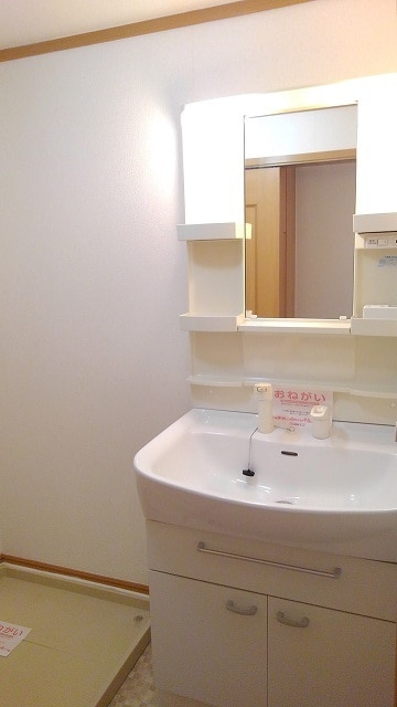 エクセルグリーンⅡの洗面所