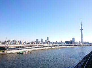 【展望】