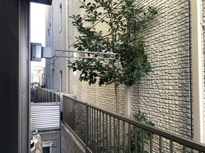 【展望】 | vif/vive