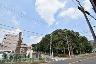 【展望】 | 物件のお問い合わせは、 ０３－６７２１－０８１８までお気軽にどうぞ！
バルコニーからの眺望