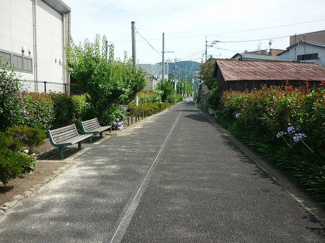 【前面道路含む現地写真】