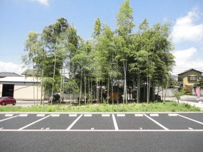  | コンフォート　マエジマ