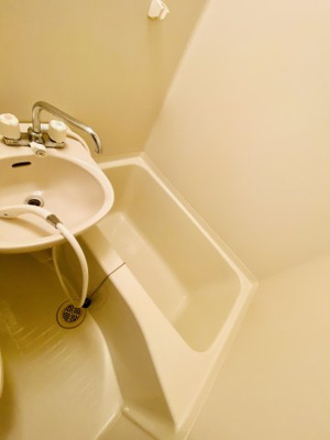 【洗面所】 | ダグラス中原 | 洗面台