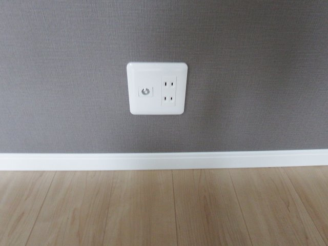ヴァンベールのその他