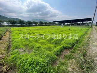 【外観】 | 西脇市野村町