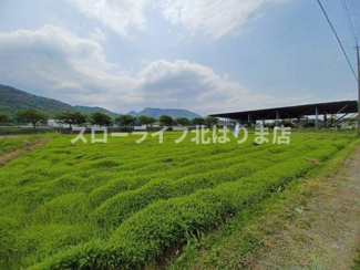 【外観】 | 西脇市野村町