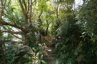 宝塚市雲雀丘2丁目売土地の外観