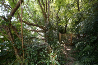 宝塚市雲雀丘2丁目売土地の外観