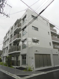 ステラの画像