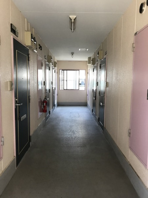 【その他共用部分】 | ドエル中葛西 | 共用廊下