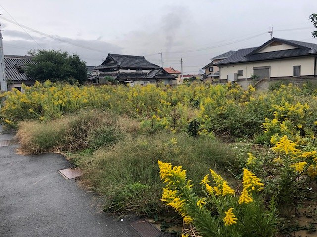 和歌山市狐島・土地・56550の外観