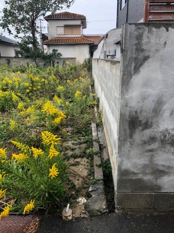 和歌山市狐島・土地・56550の外観