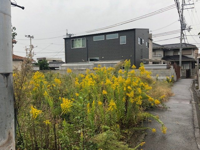 和歌山市狐島・土地・56550の前面道路含む現地写真