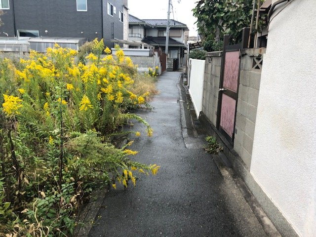 和歌山市狐島・土地・56550の前面道路含む現地写真
