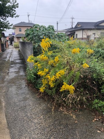 和歌山市狐島・土地・56550の前面道路含む現地写真