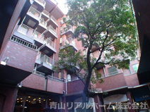 ソフトタウン青山の画像