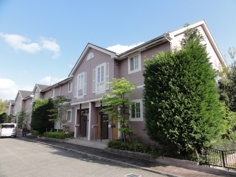 アンジェリークの画像