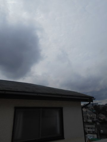 【展望】 | カーサブランカ杉田