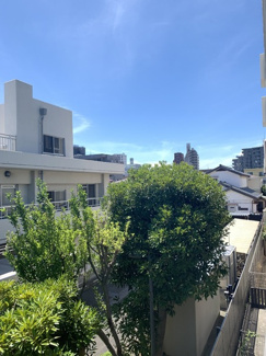 【展望】 | 眺め