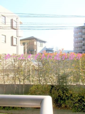 【展望】 | ウエルカーサ花小金井