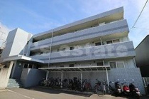 ヌカタハーモニアの画像